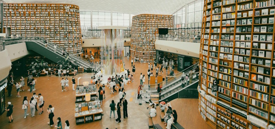 library ebooks